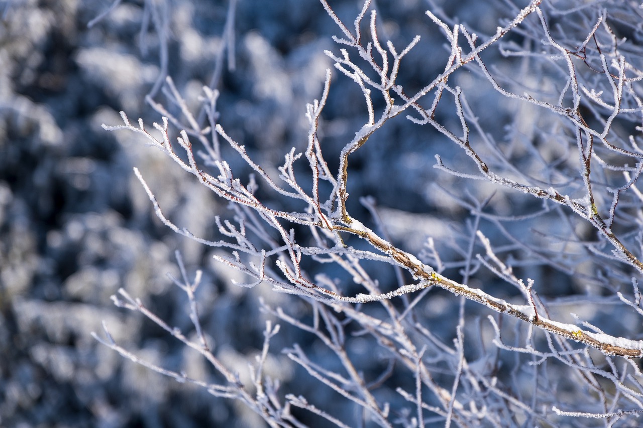 Winter Maintenance Tips header image.
