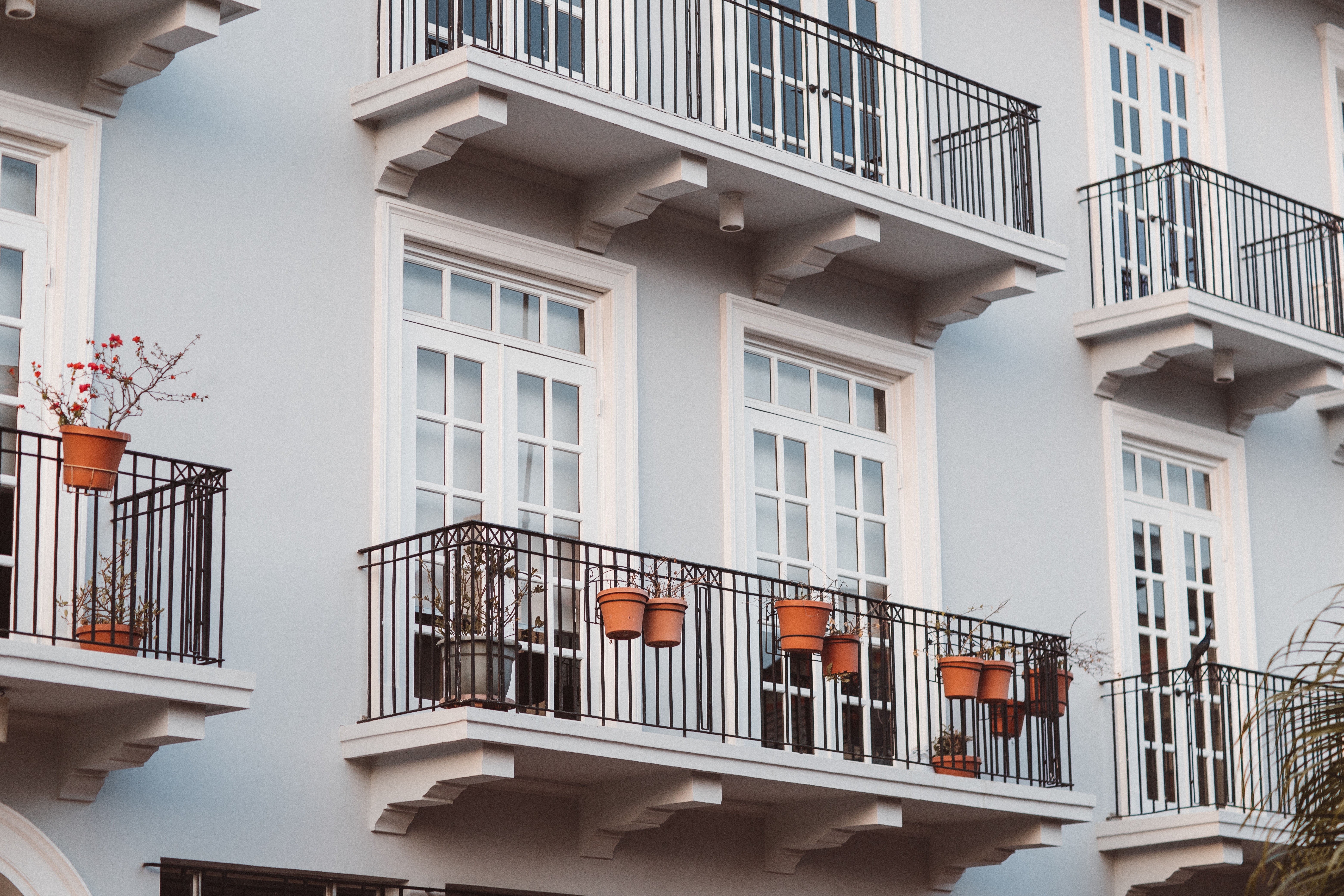 Buying vs Renting: The Pros & Cons header image.