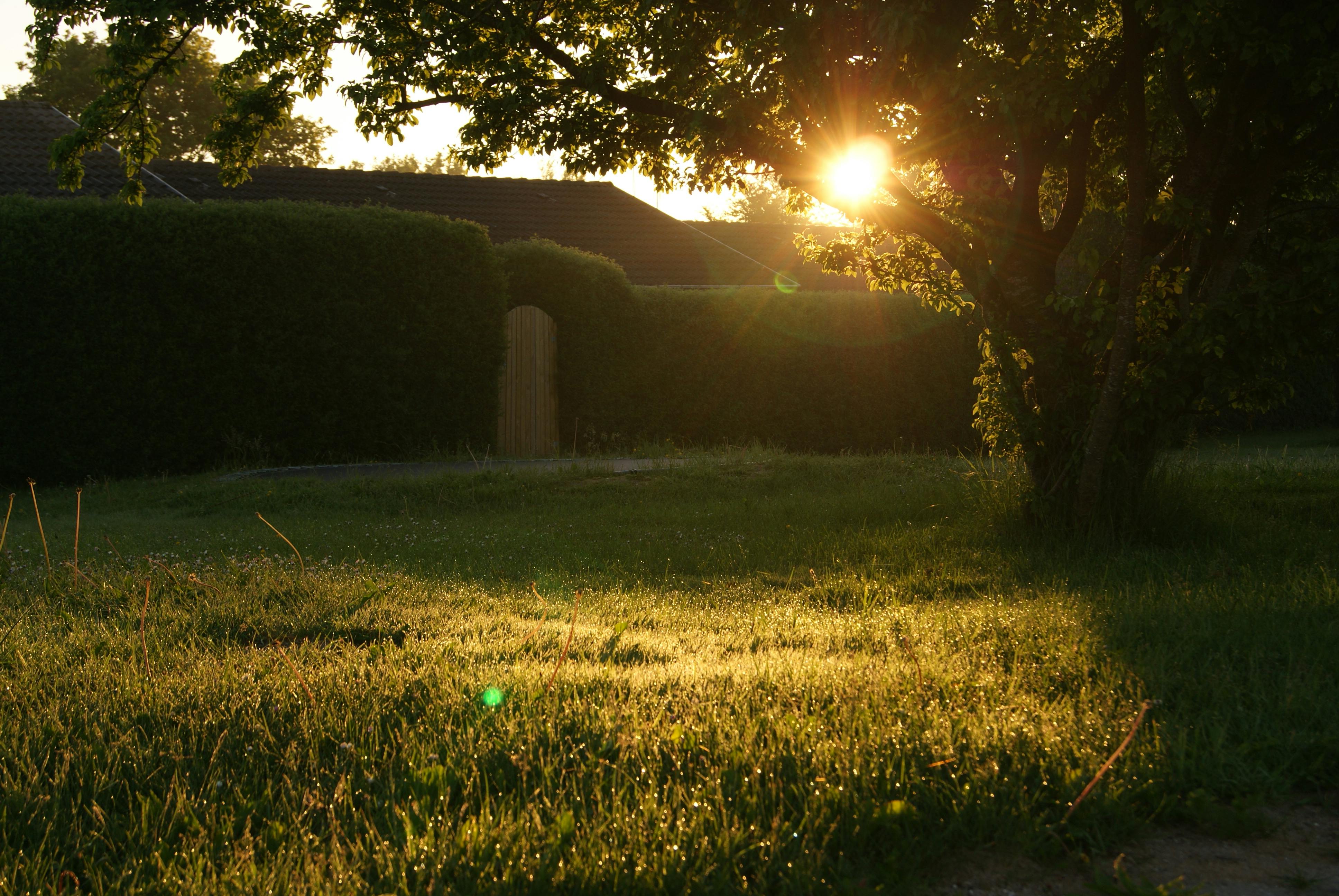 Simple Tips to Prepare Your Home for Summer header image.