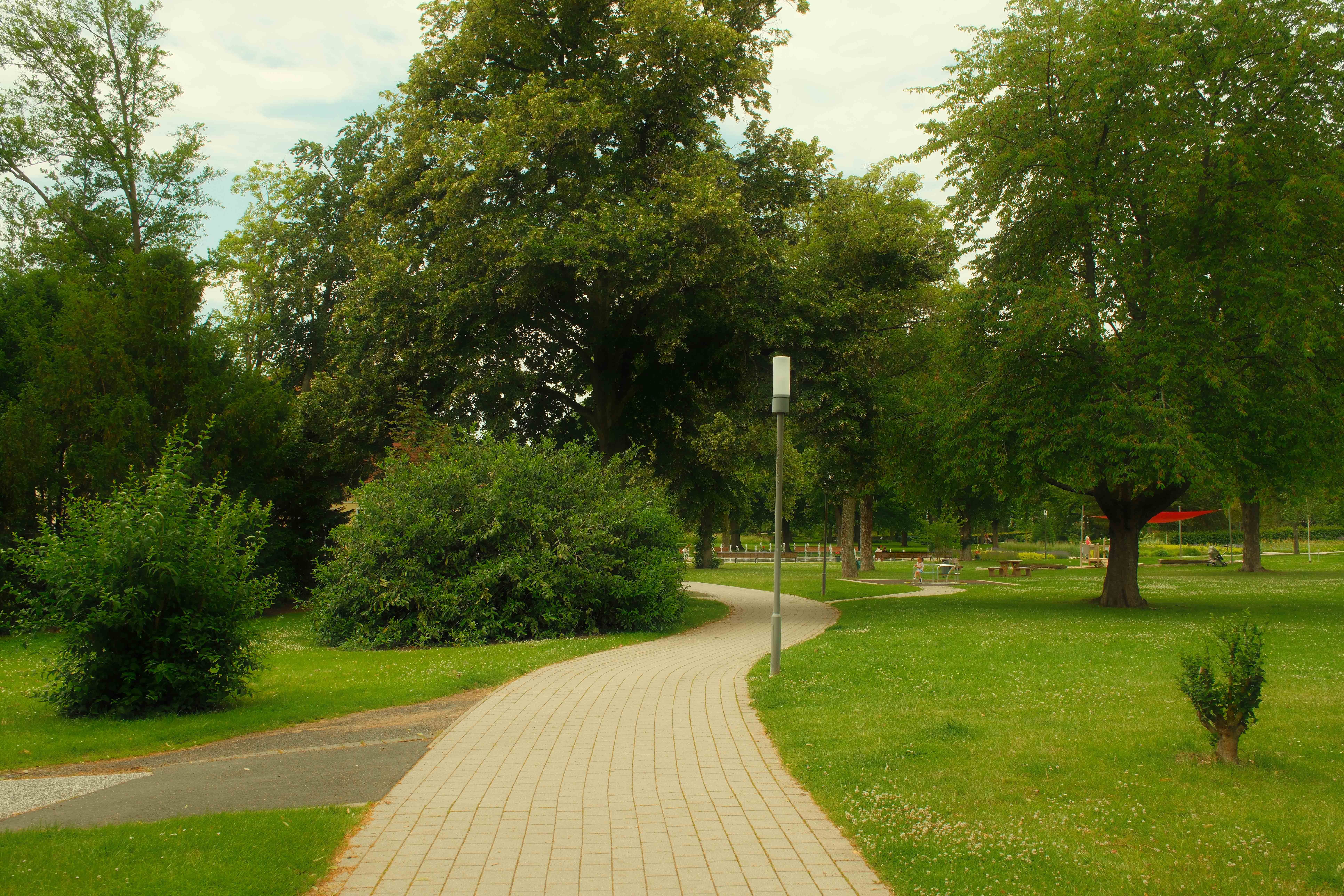 Outdoor park with walking trail and grass field