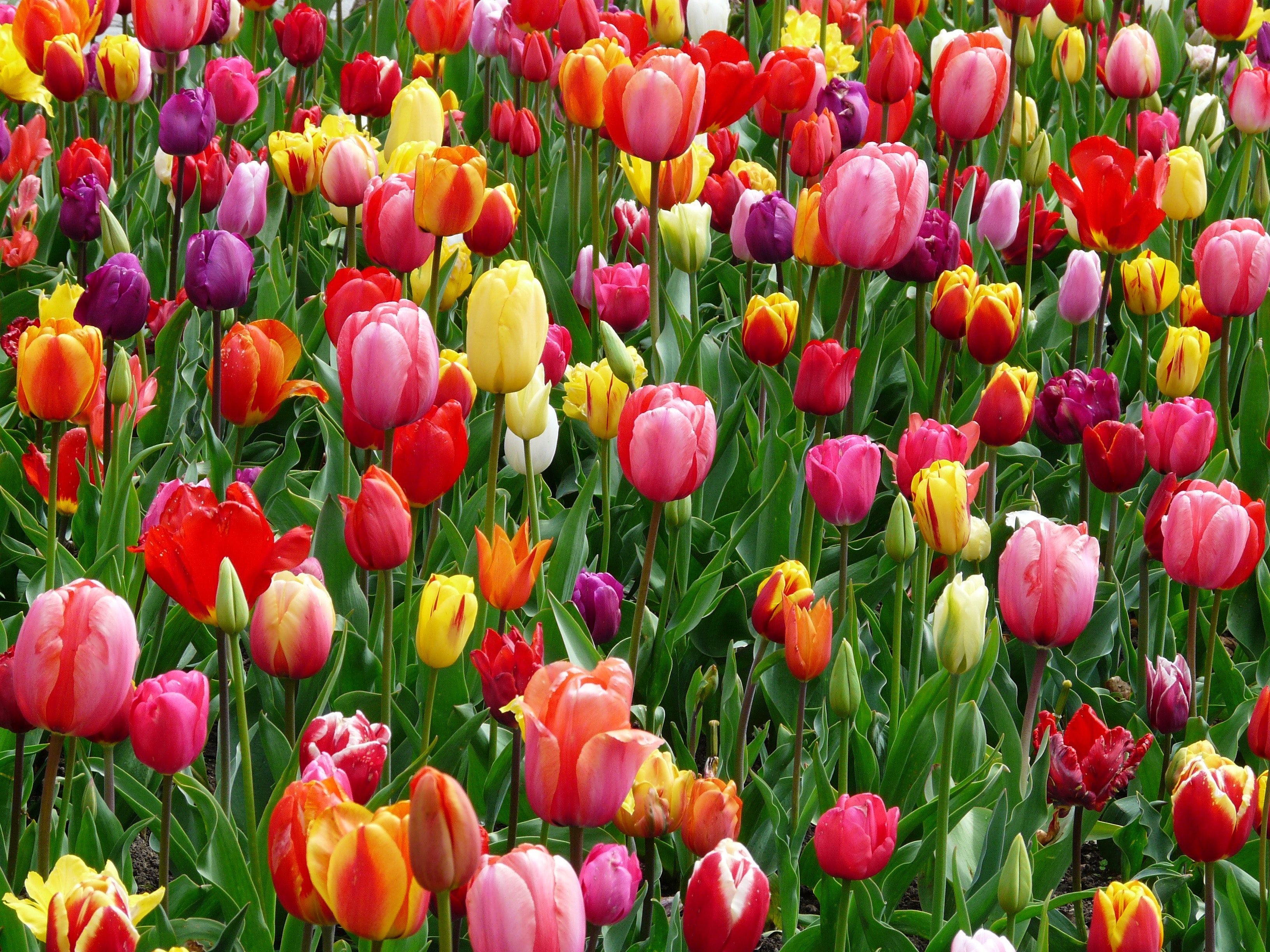 Why to sell in spring header image.