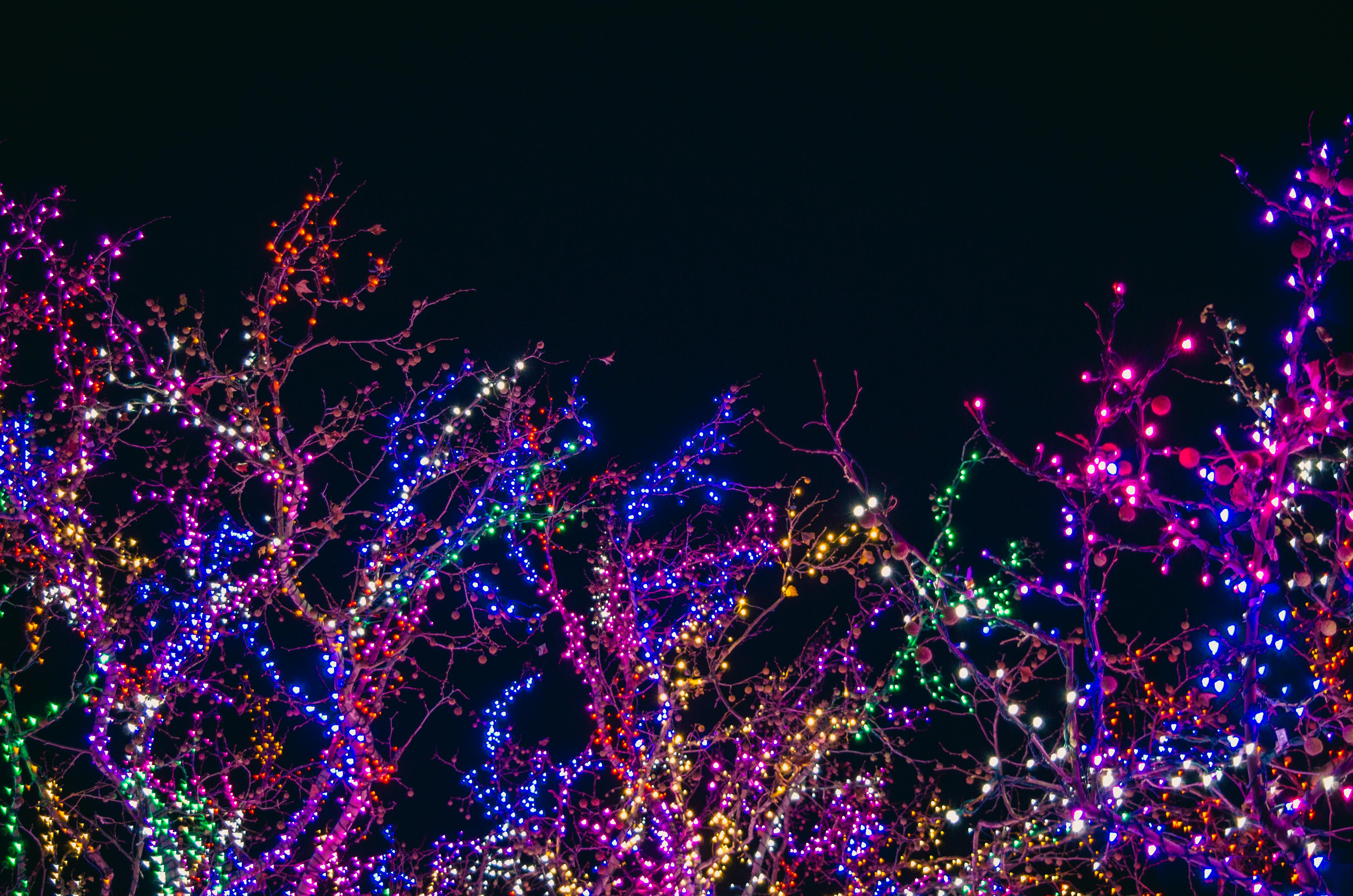 Holiday Displays to Visit in the Chicagoland Area header image.