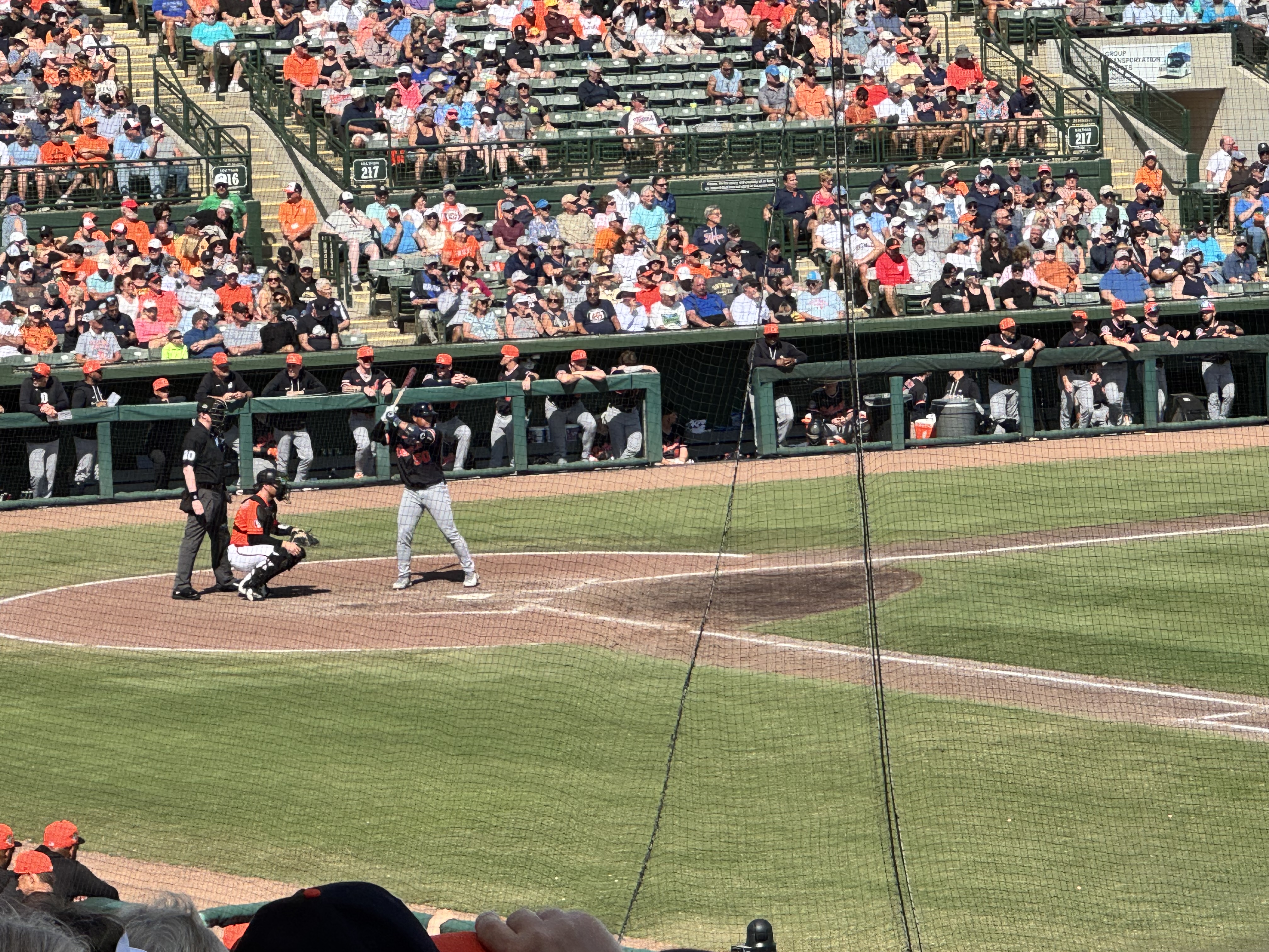 Spring MLB Baseball with Sarasota's Baltimore Orioles