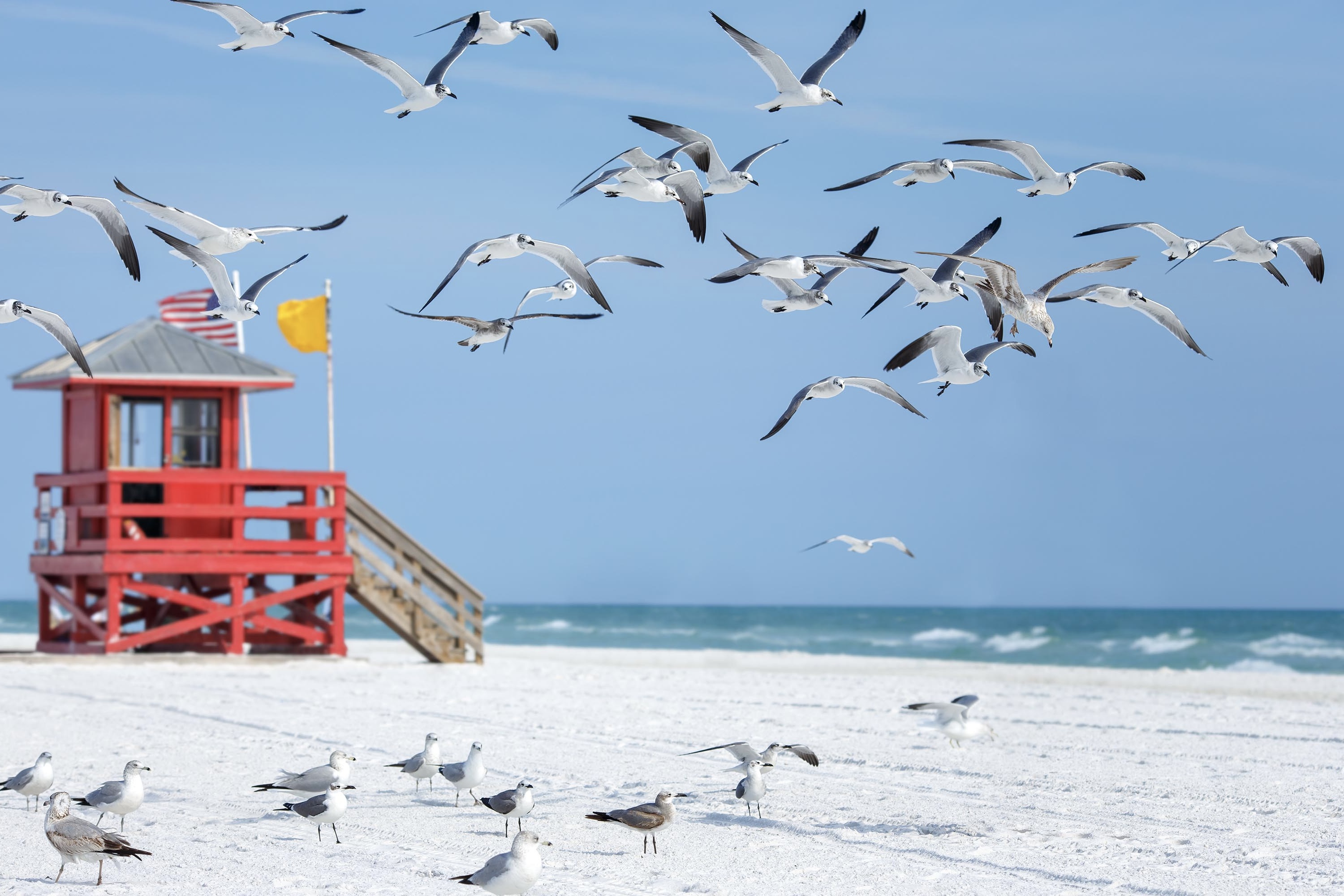 So Why Should I Vacation or Even Buy a Home on Siesta Key? header image.