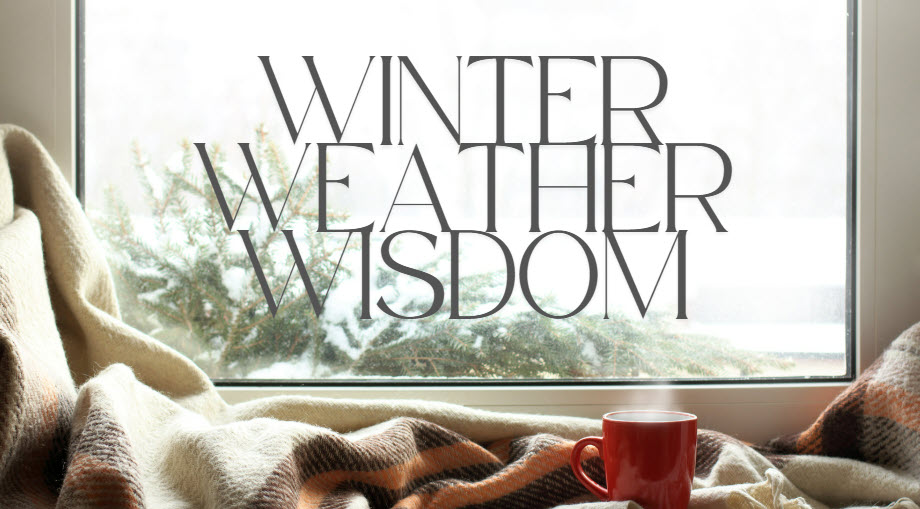 Winter Weather Wisdom for the Triangle! header image.