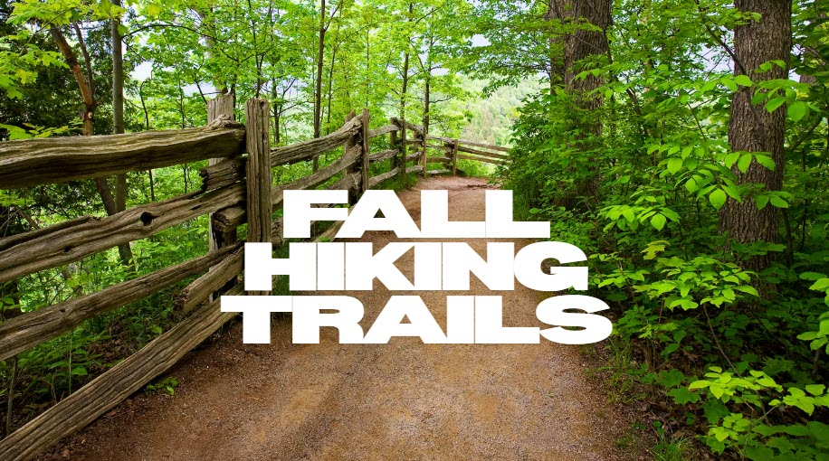 Chapel Hill Fall Hiking Adventure Guide (AKA: Where to Get Your Leaf-Peeping Fix!) header image.