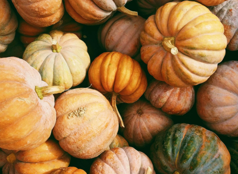 Happy October! We have some great things coming up this month! header image.