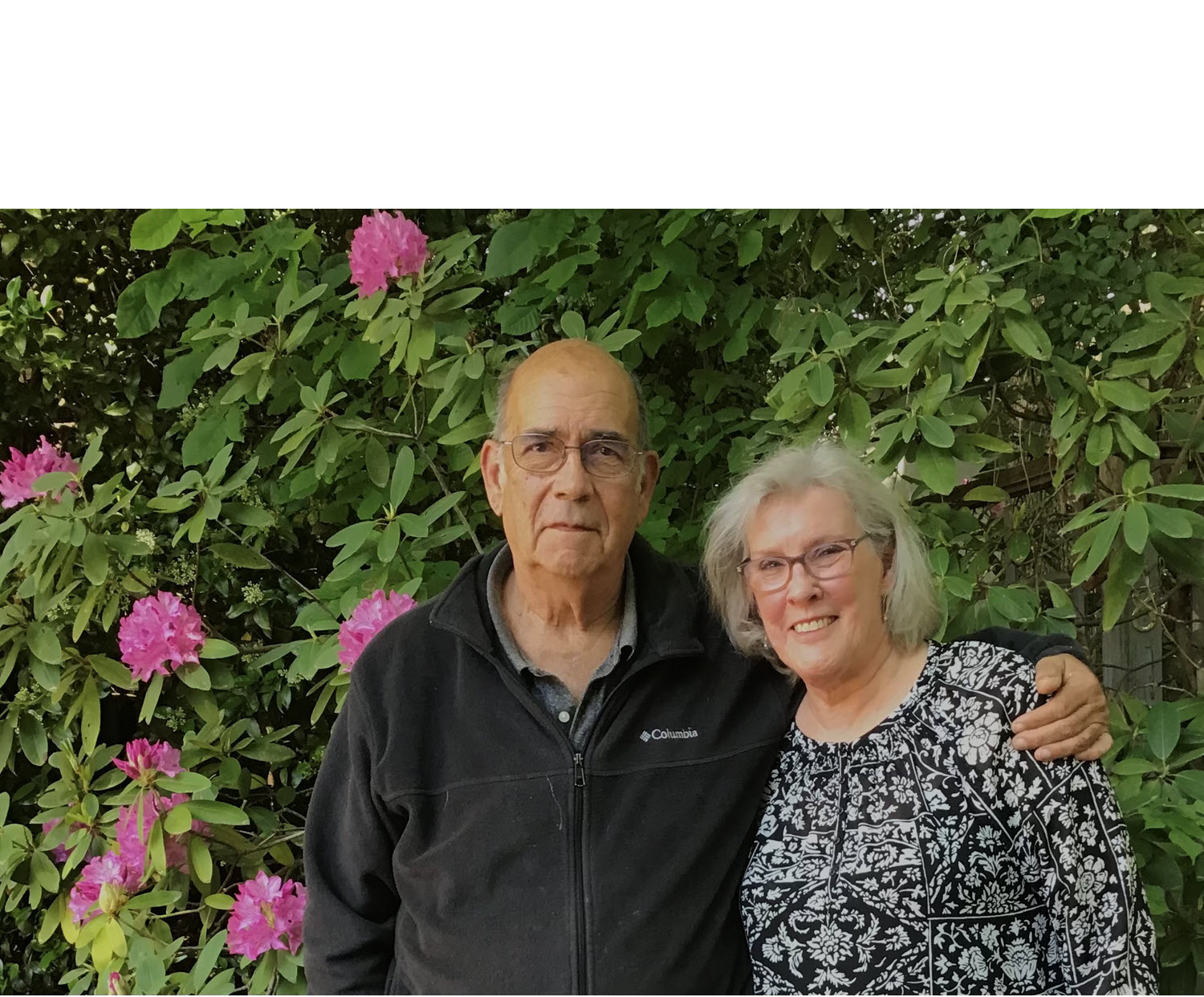 More Client Success! header image.