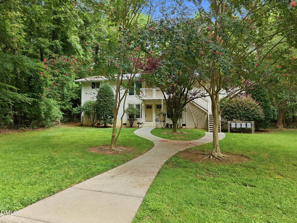 Where Carrboro's Energy Meets Everyday Tranquility header image.
