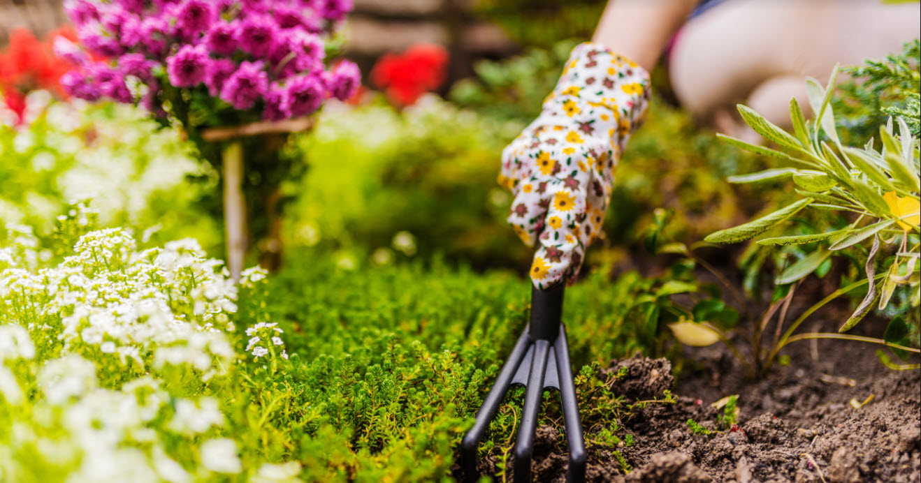 Preparing Your Spring Garden header image.