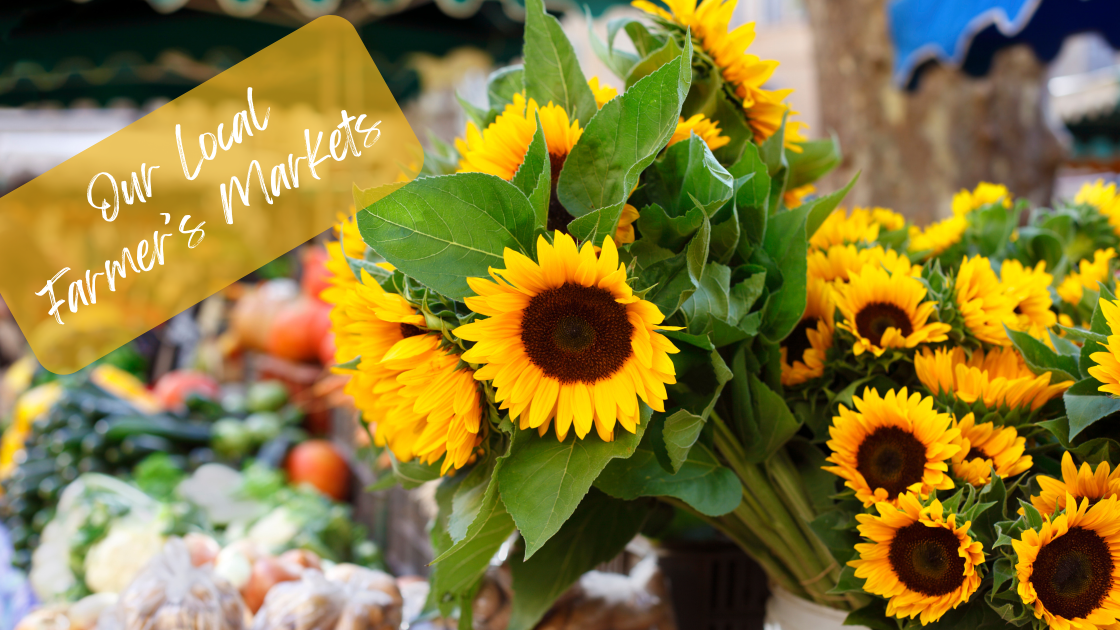 Market Mornings, Local Art & the Triangle at Its Best header image.
