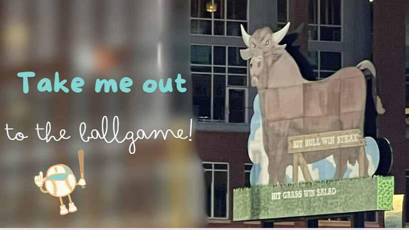 Take Me Out to the Ball Game- Client Event! header image.