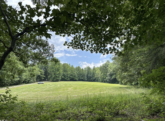 Building Their Dream in Efland! Buyers Success Story! header image.