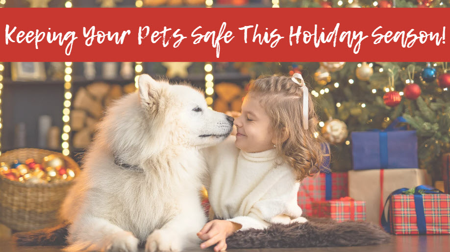 Keeping Your Furry Family Members Safe this Holiday Season! header image.