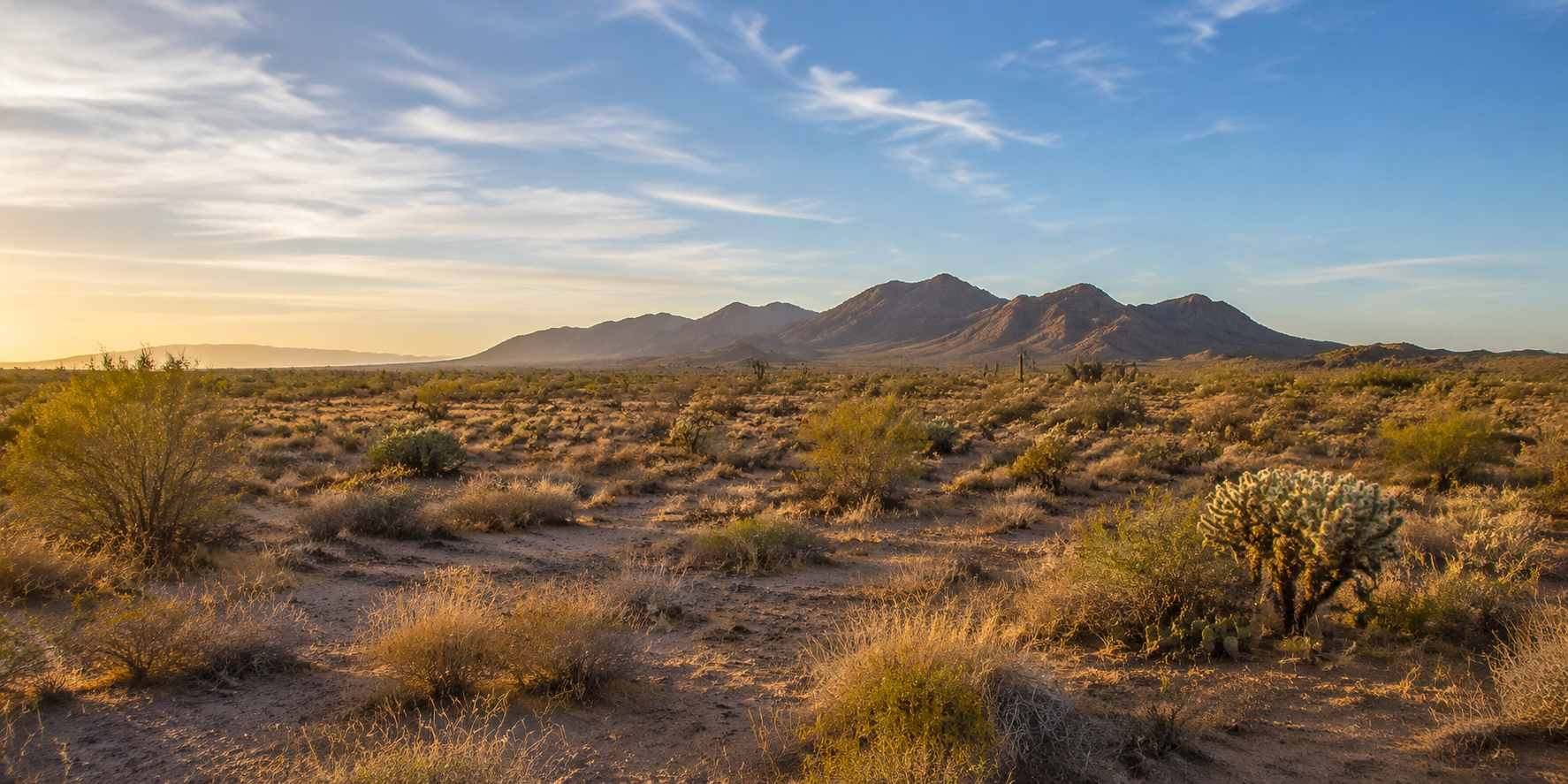 Buying Land in Arizona: What you Should Investigate before Making an offer header image.