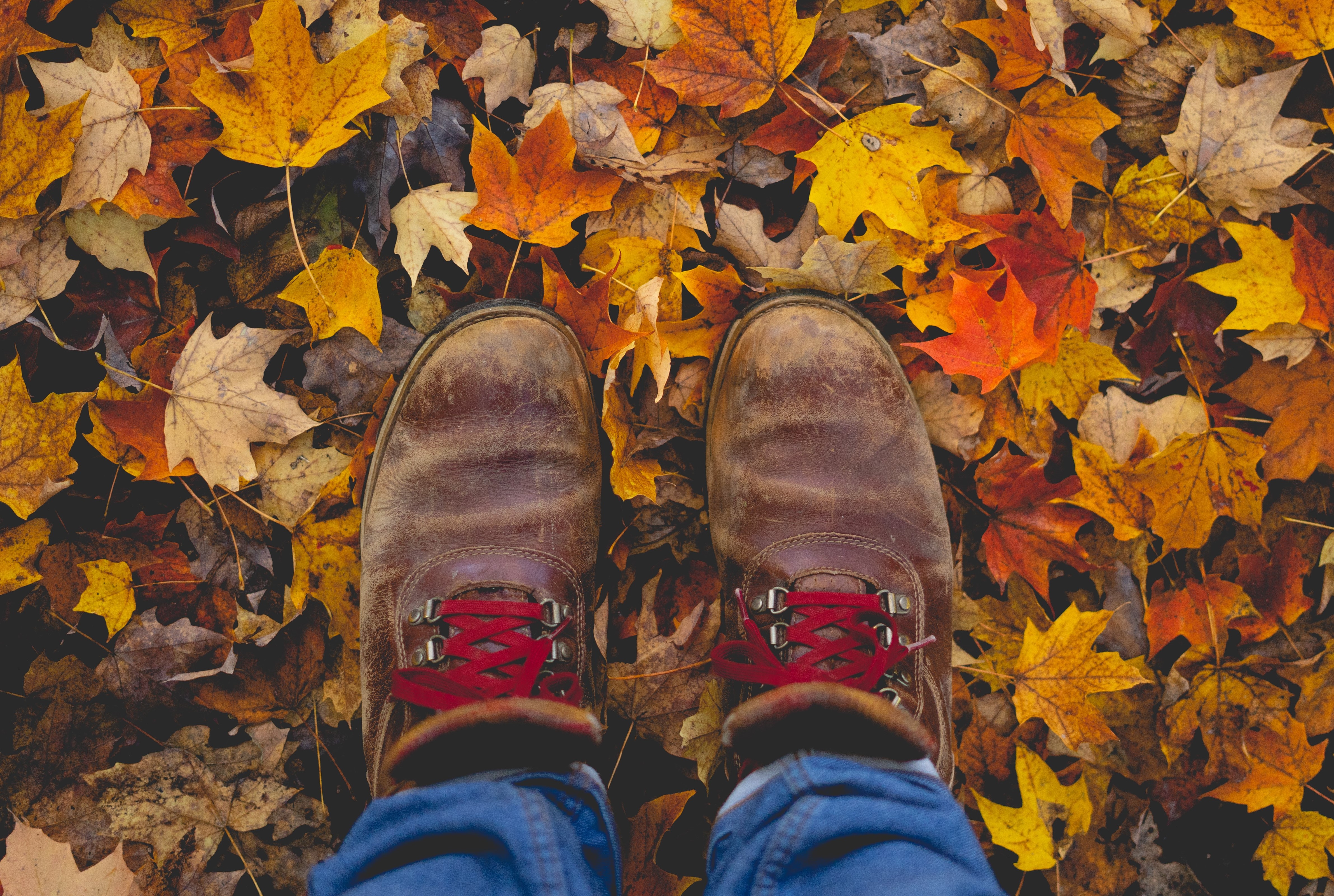 A Dozen Fun Fall Southcentral Wisconsin Events header image.