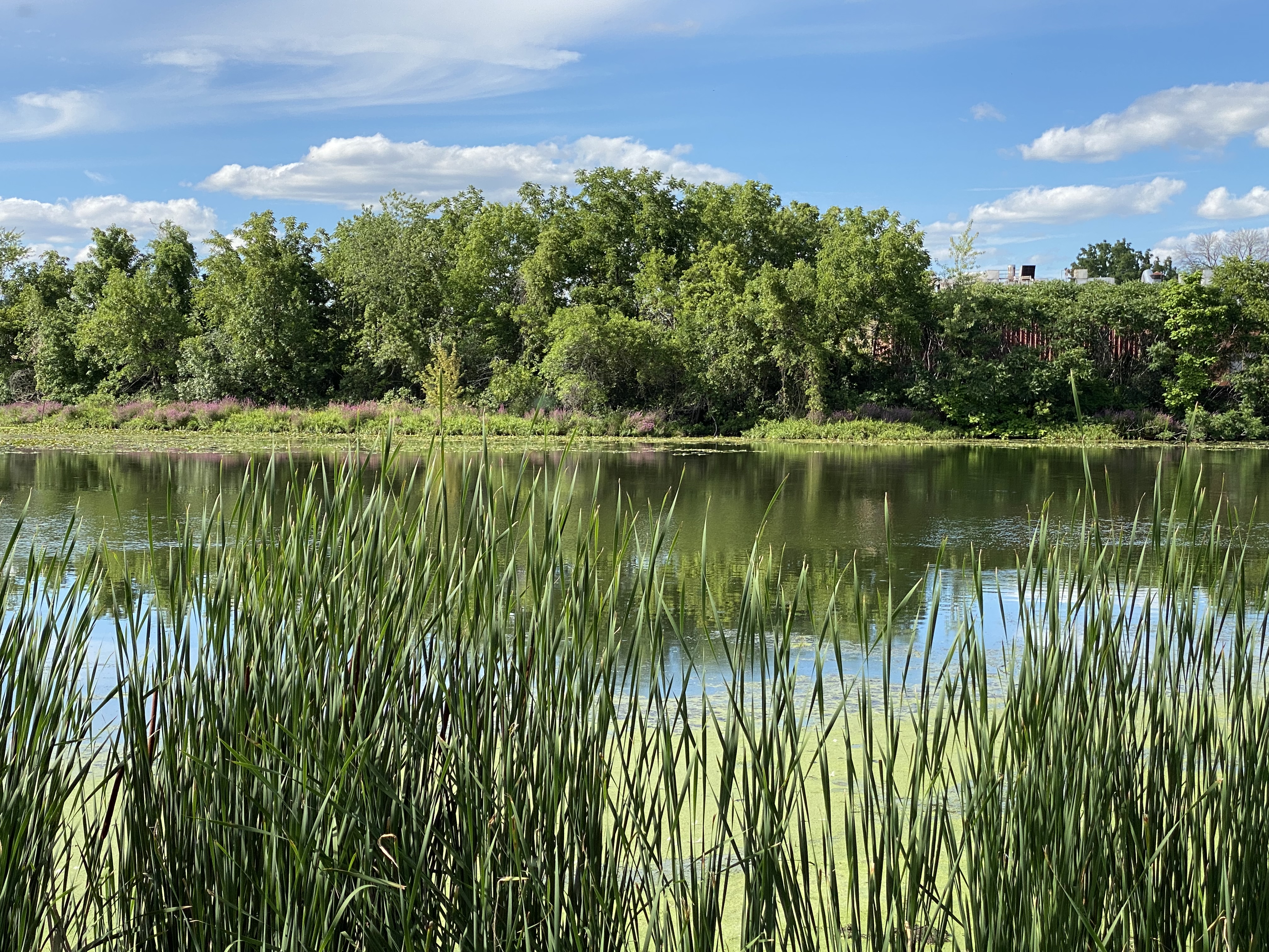 Let’s Visit Stoughton! header image.