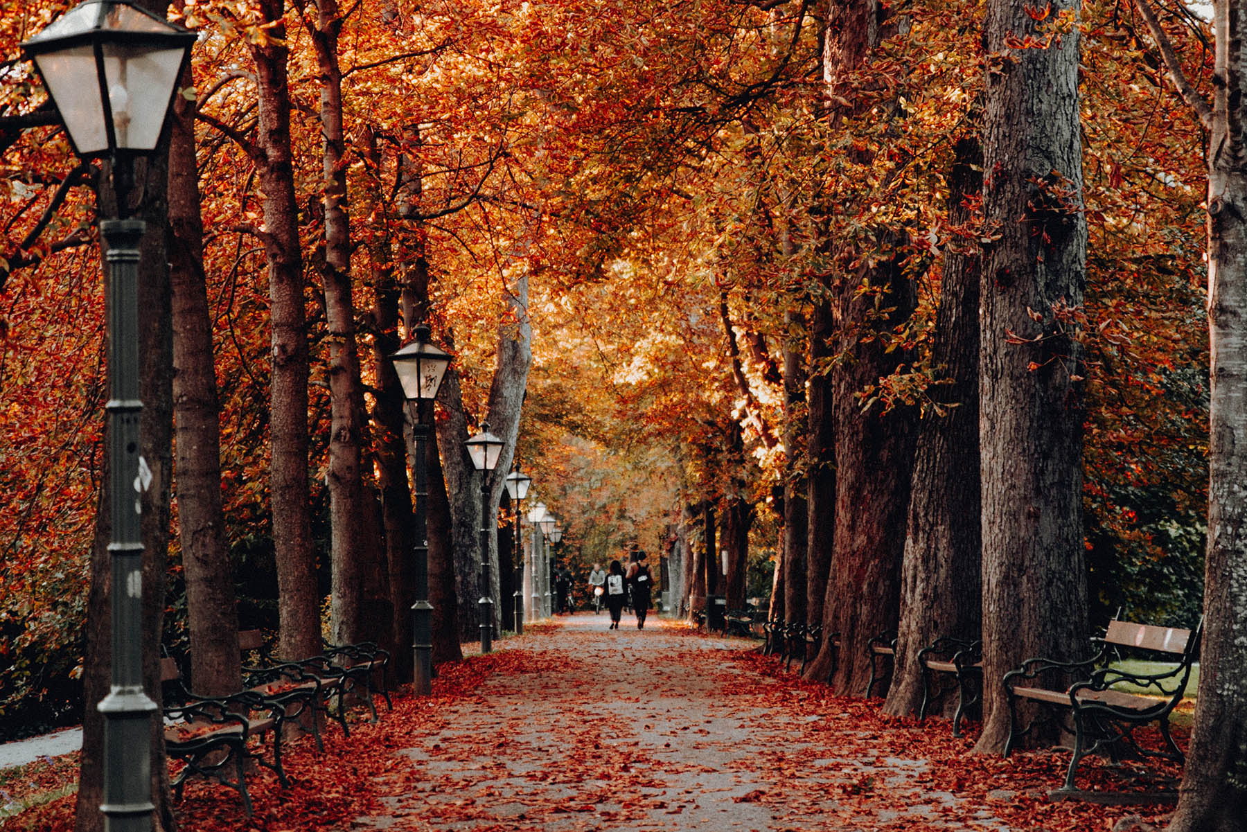 October 2022 Newsletter header image.