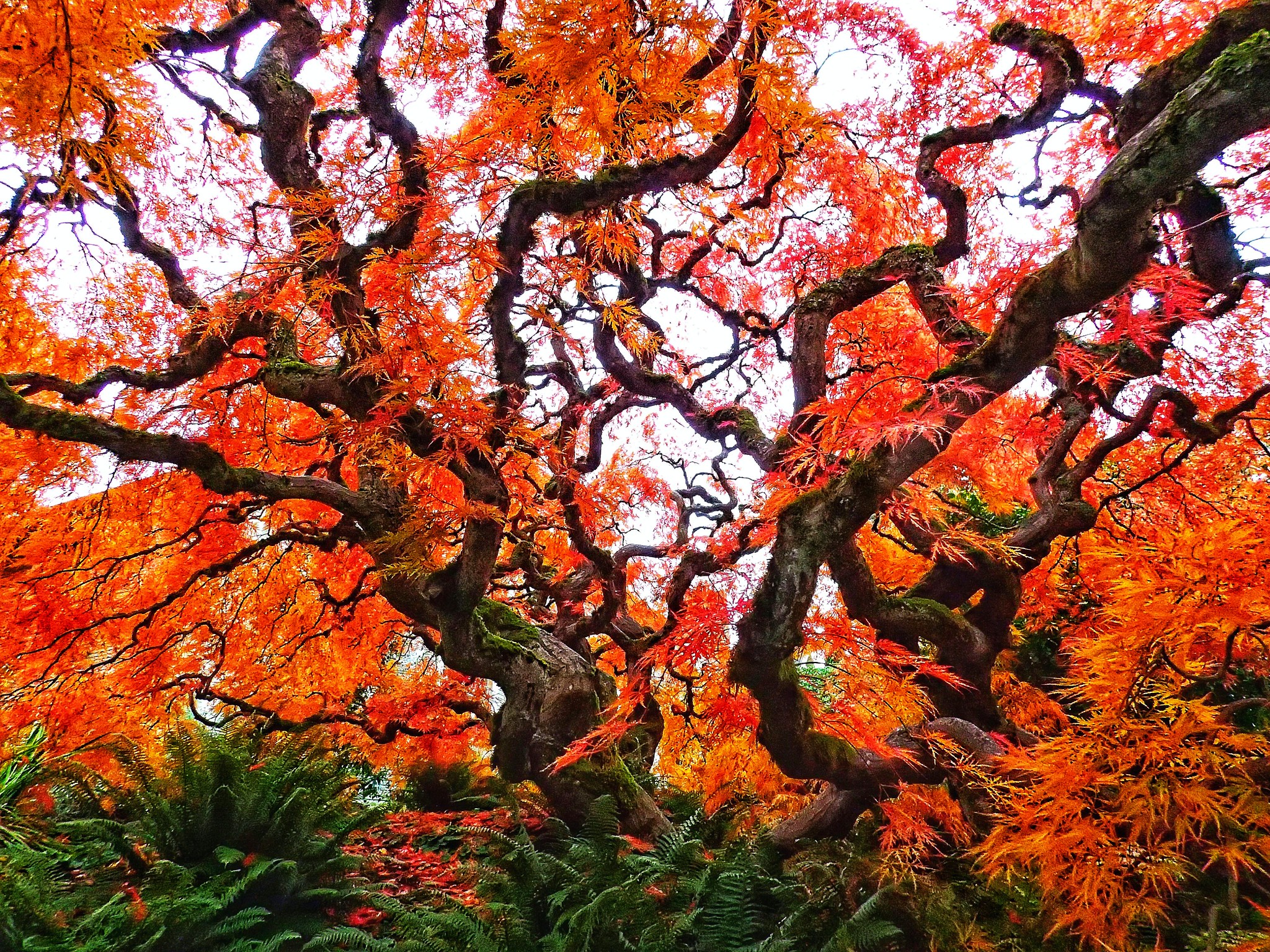 Thinking of Moving to Beaverton?  Top Neighborhoods and what Buyers Want Most header image.