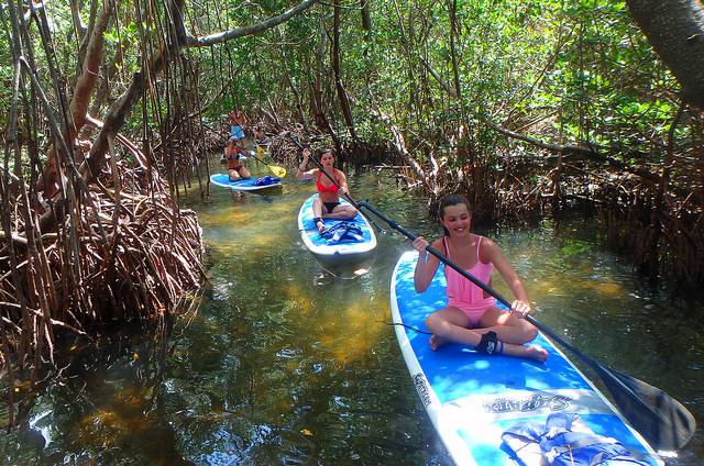 Discover the Best Fun Things to Do in Sarasota, Florida header image.