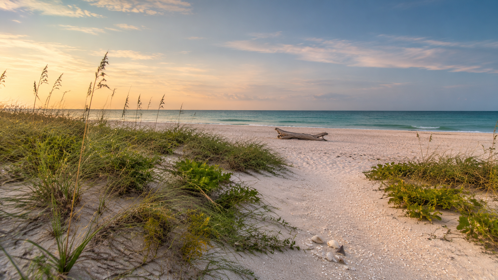 Locals Hidden Beaches and Favorite Beach Access Points on Florida's Gulf Coast header image.