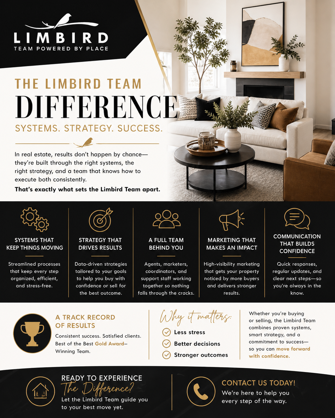 The Limbird Team Difference: Systems, Strategy, Success header image.