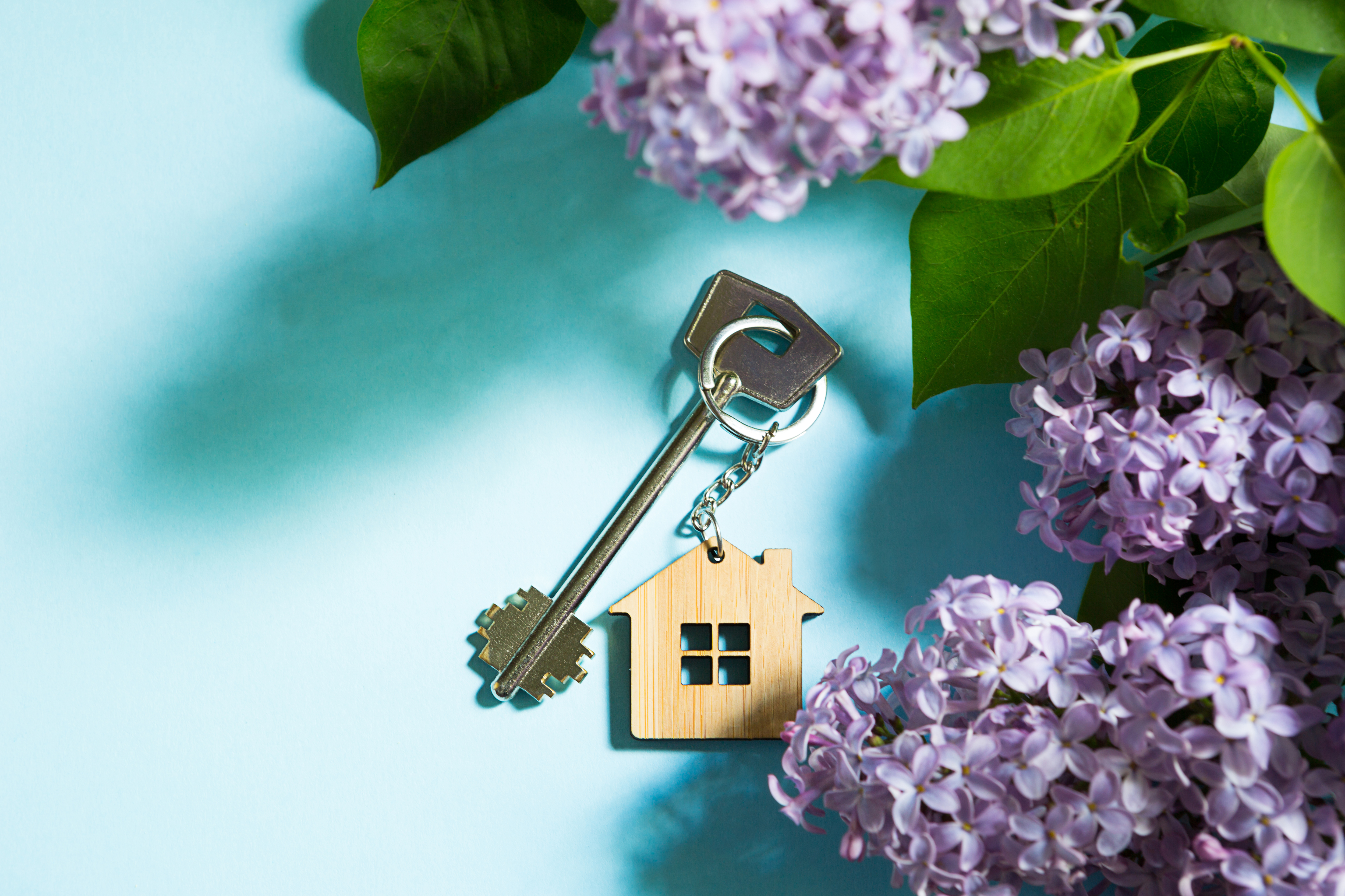 Spring into Success: A Seller's Guide to Navigating the Real Estate Market header image.