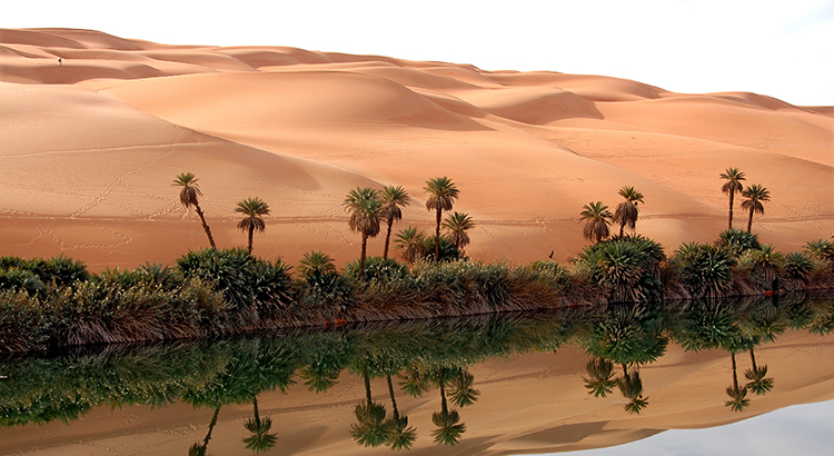 Sellers: Your House Could Be an Oasis for Buyers Seeking More Options header image.