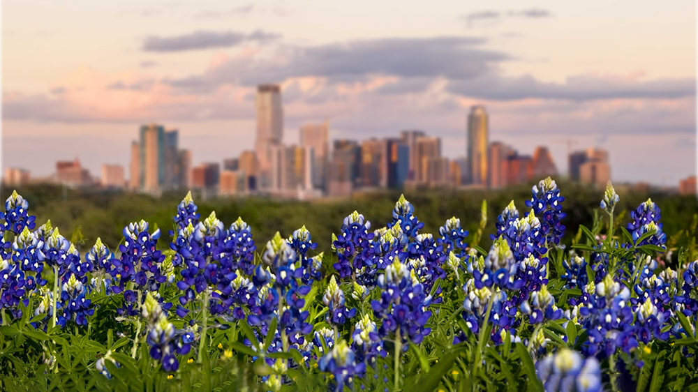Spring Real Estate Expectations for Austin, TX header image.