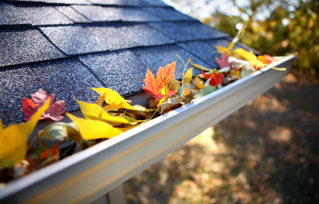 Fall Home Maintenance Checklist | Keep Your Home in Top Shape header image.