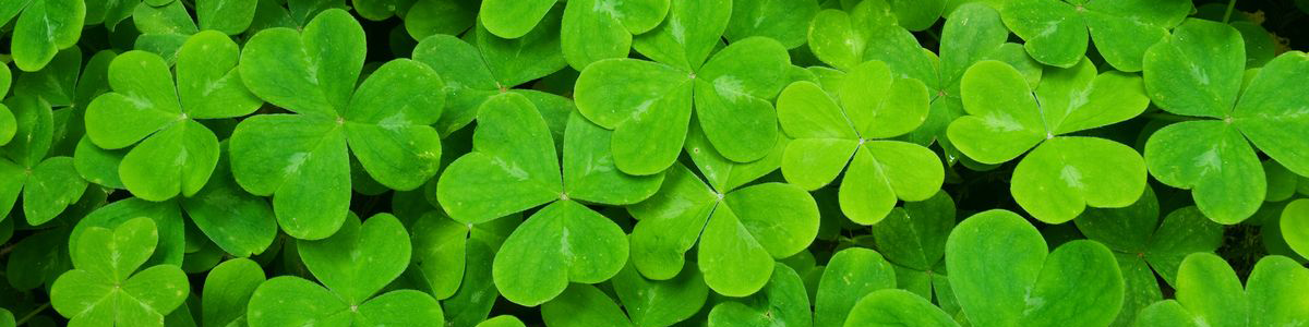 St. Patrick's Day Giveaway header image.