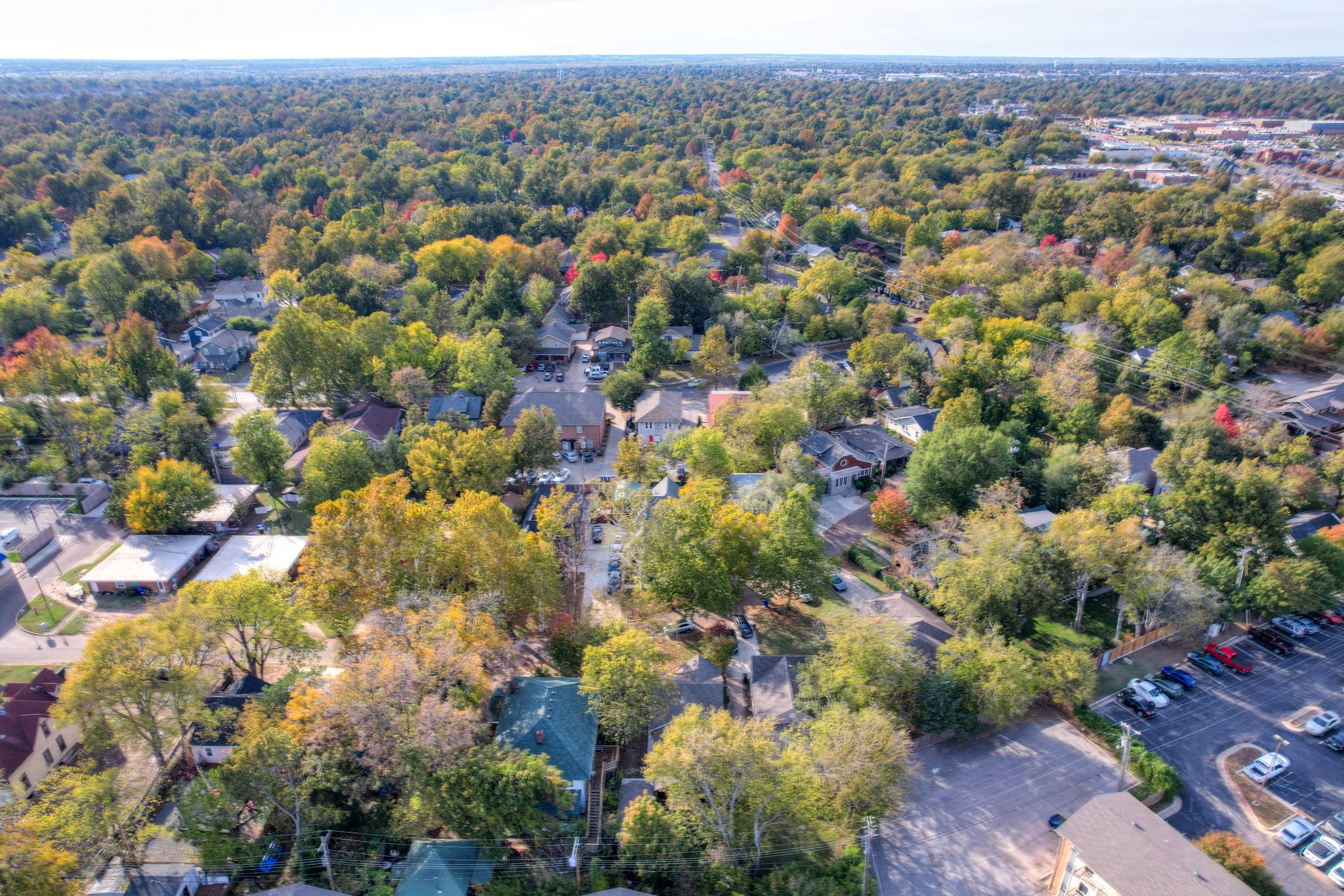 Why Cash Buyers in Real Estate Often Overpay - and How to Avoid It header image.