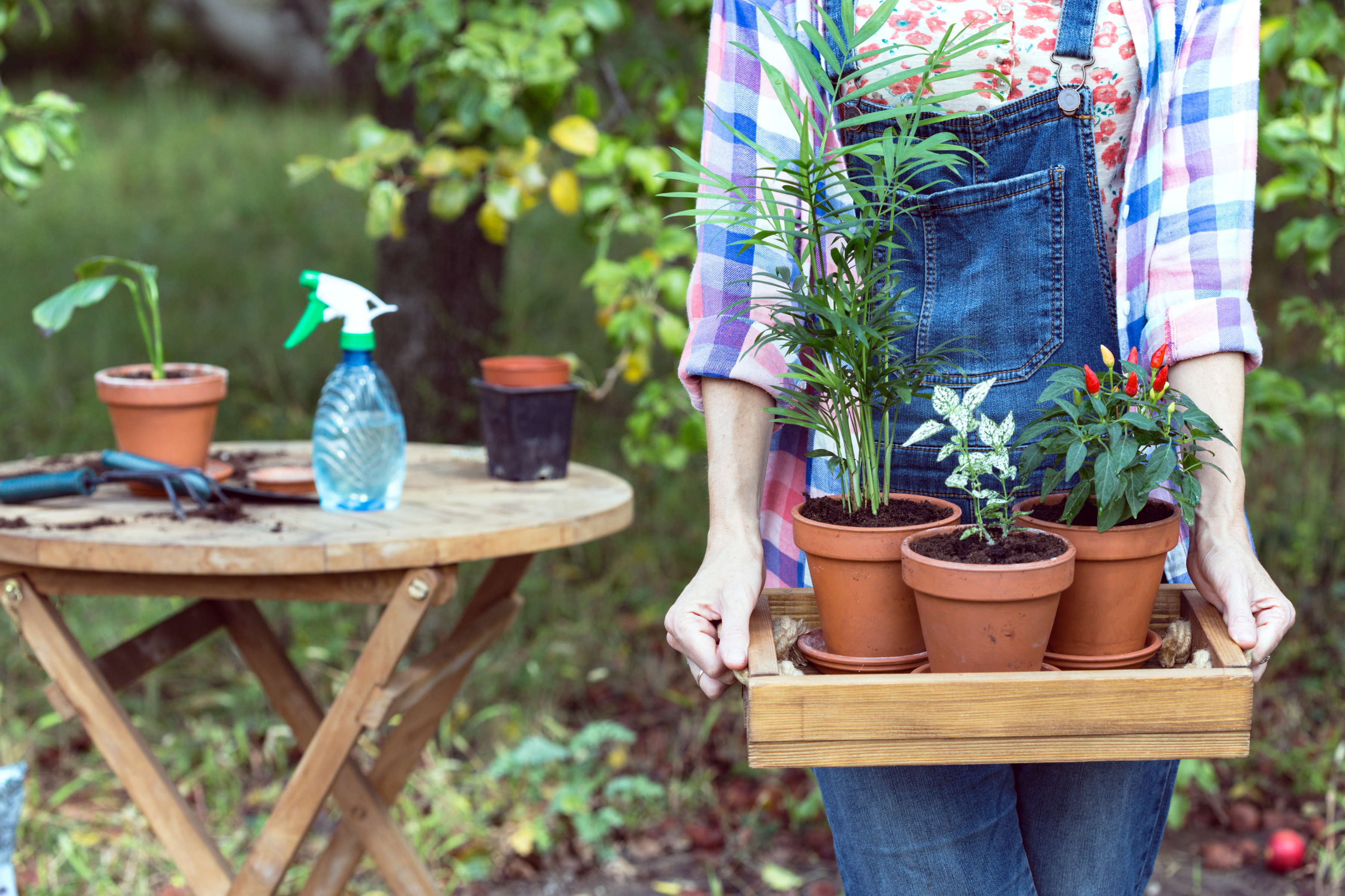 Your Fall Planting Guide header image.