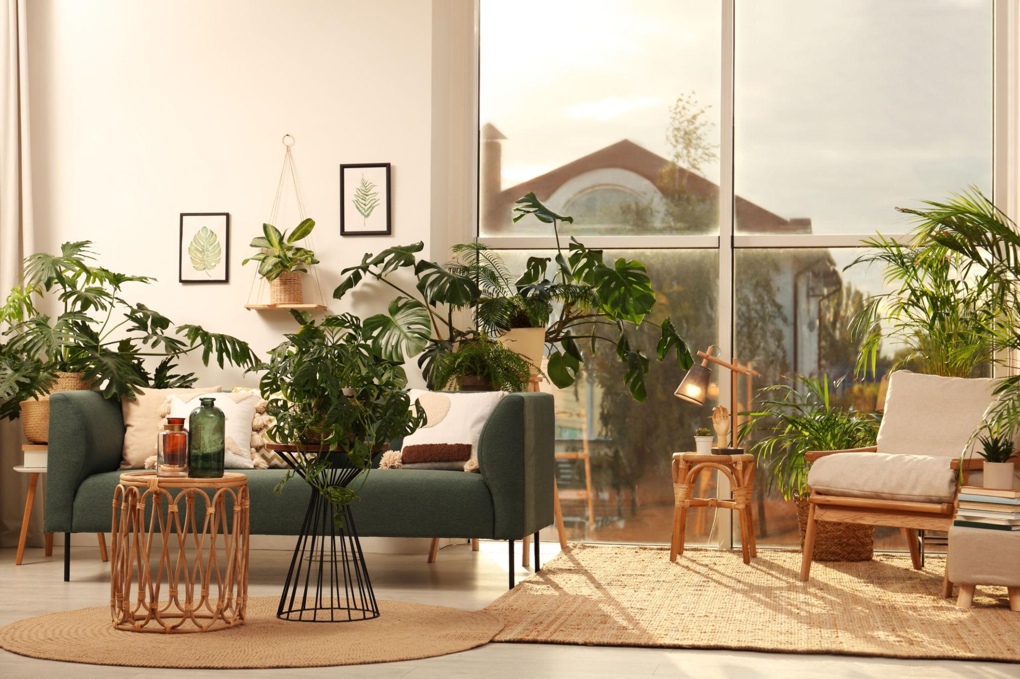 Homeowner's Guide to Styling Plants in Your Home header image.