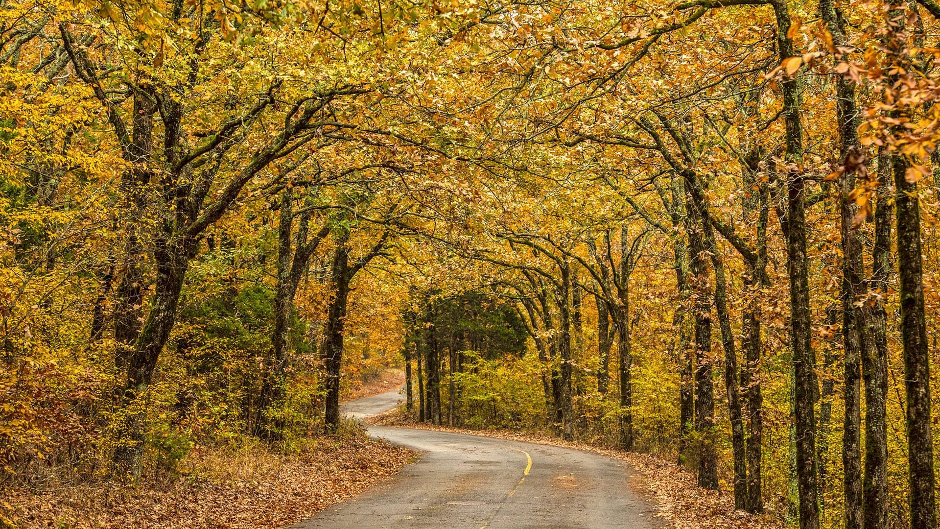 Don’t Get Spooked by the Market: Why Fall Is a Great Time to Buy or Sell in Central Arkansas header image.