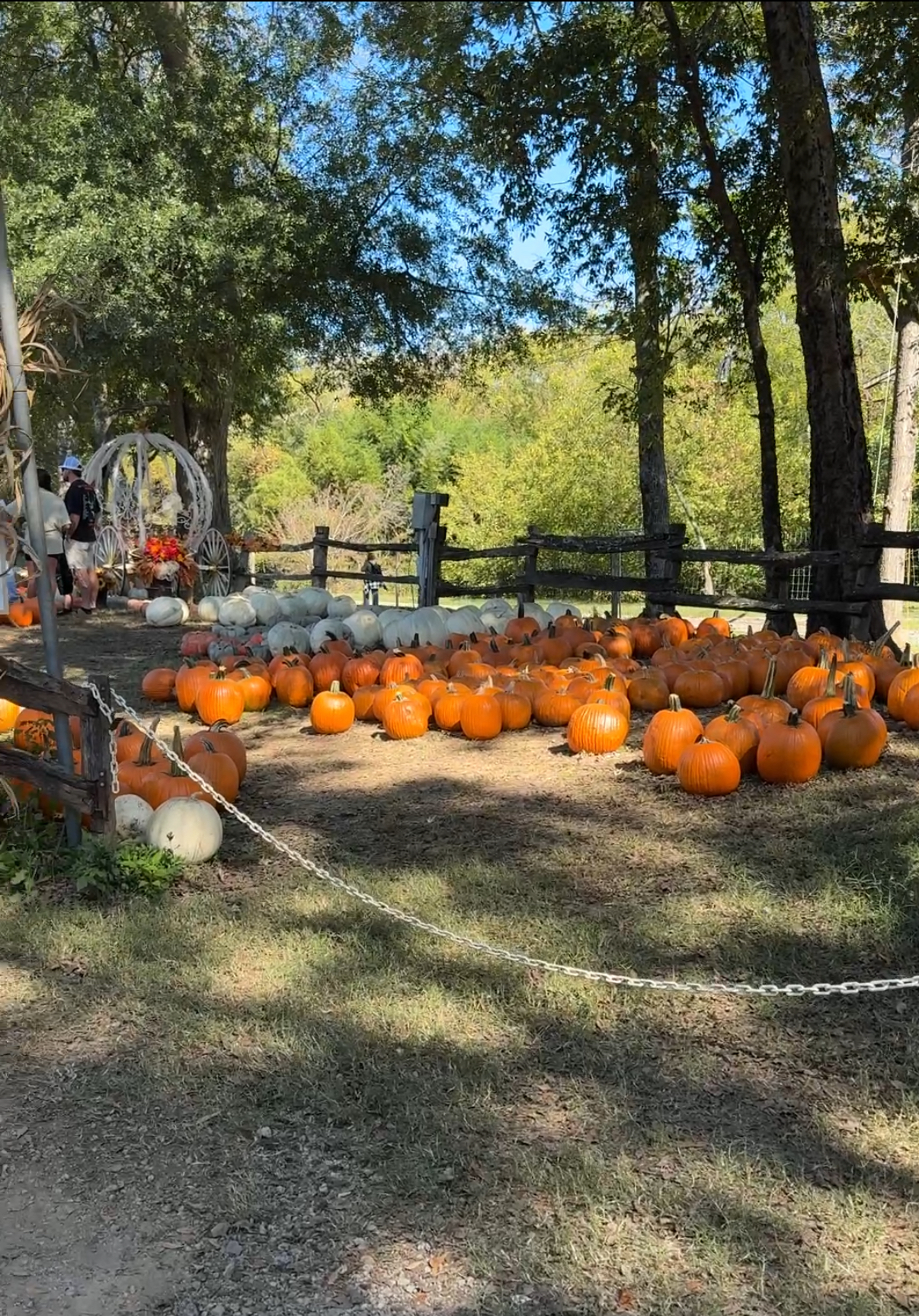 What's going on this weekend - October 25th-26th header image.