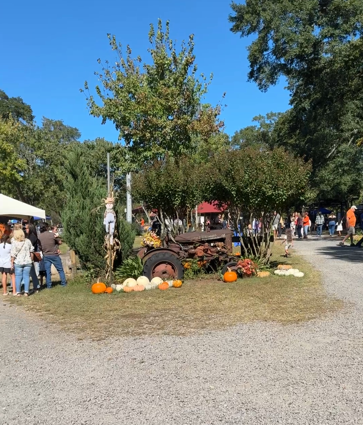 Fall Activities in Atlanta header image.