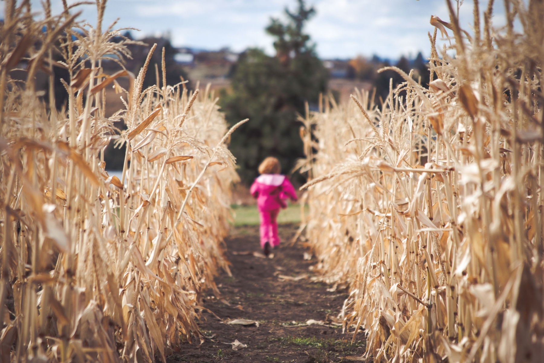 Things to Do in Portland This Fall: Festivals, Family Fun, and Spooky Events header image.