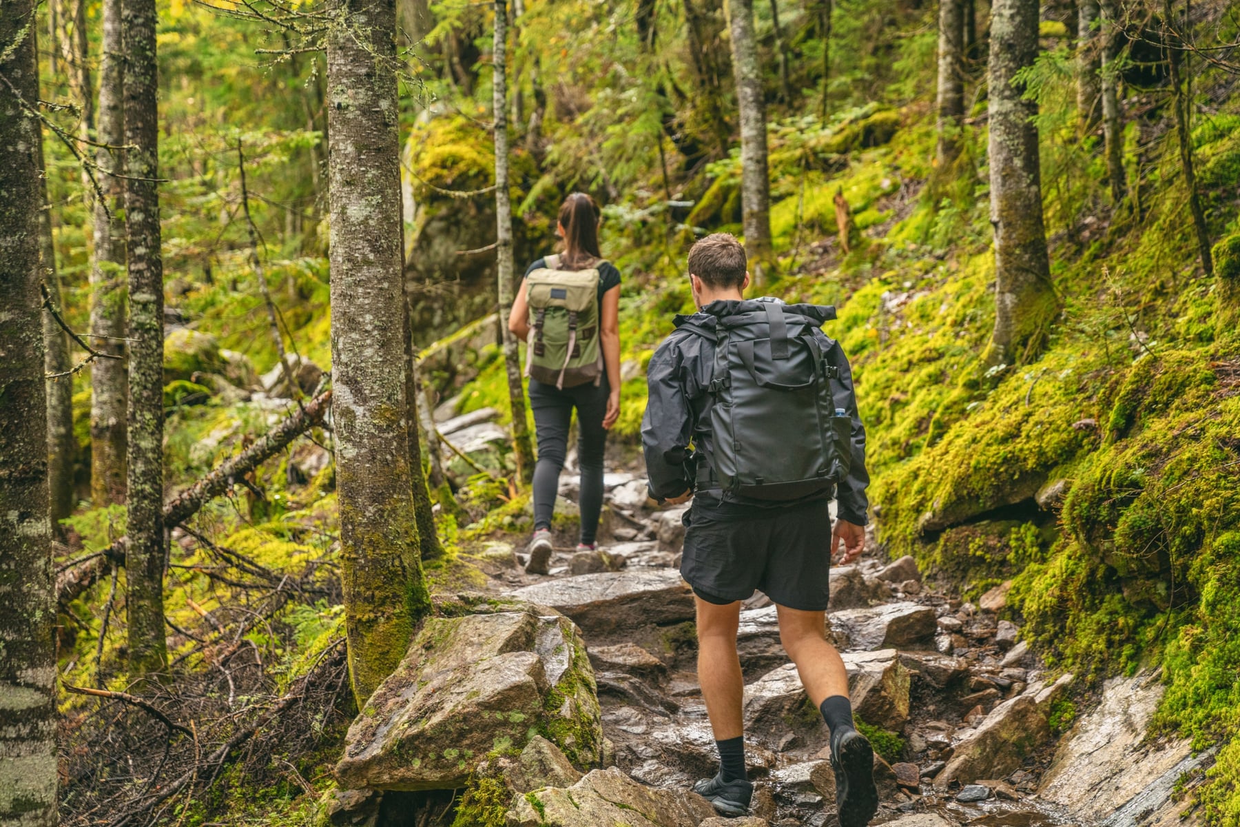 Spring Hiking in Portland: 5 Local Favorite Trails Worth Your Time header image.