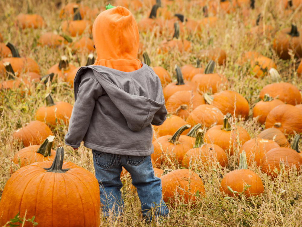 13 Fall Events for Family & Frightening Fun! header image.
