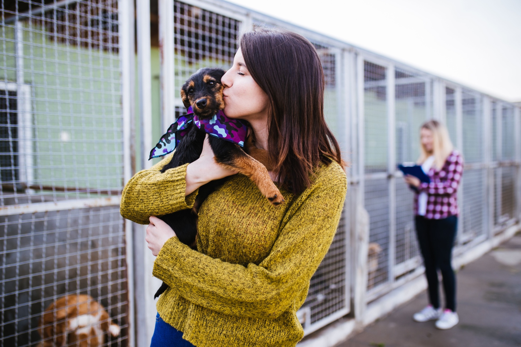 Want to Help Pets in Need? Check Out These 6 Portland Nonprofits for Pets header image.