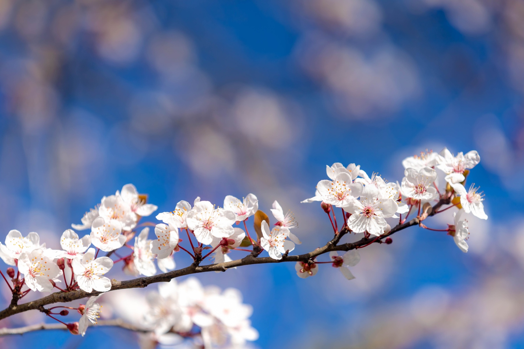 Q1 2024 Portland Real Estate Market Update header image.