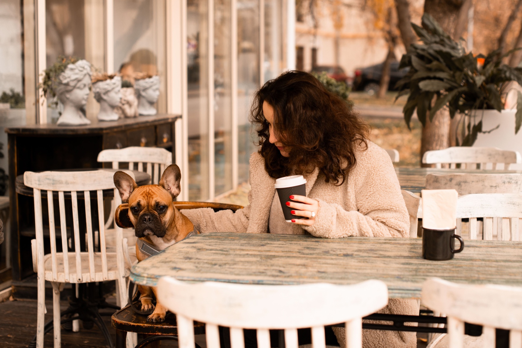 7 Fall Cafés You Need to Visit in Portland header image.