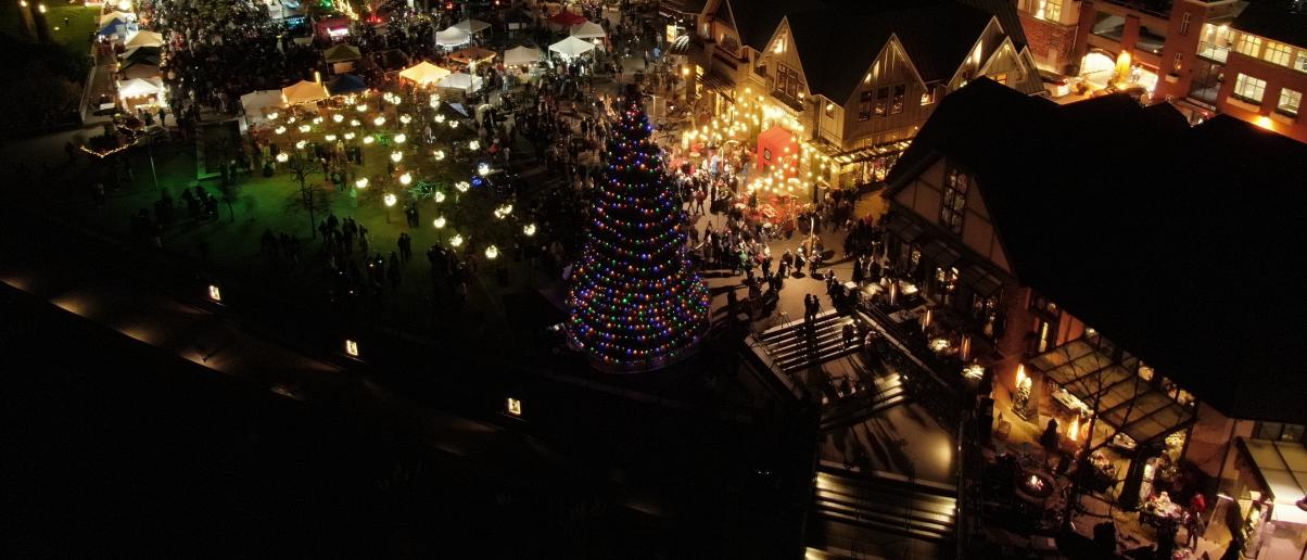 Lake Oswego Shines Bright for the Holidays: Events You Won’t Want to Miss header image.