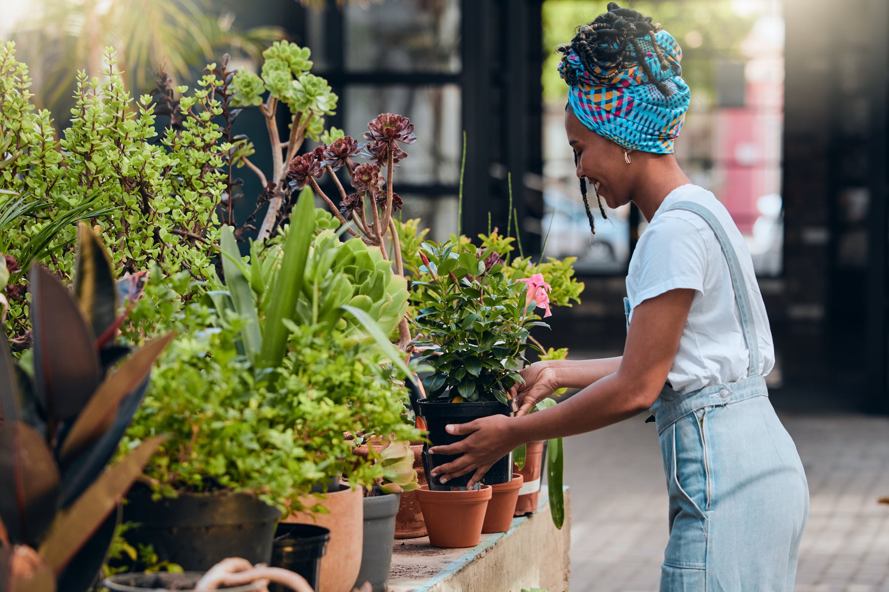 Where to Buy Plants in Portland: A Local Guide to the Best Nurseries header image.