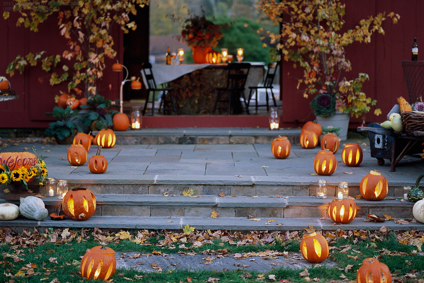 How to Host a Fall Backyard Party header image.