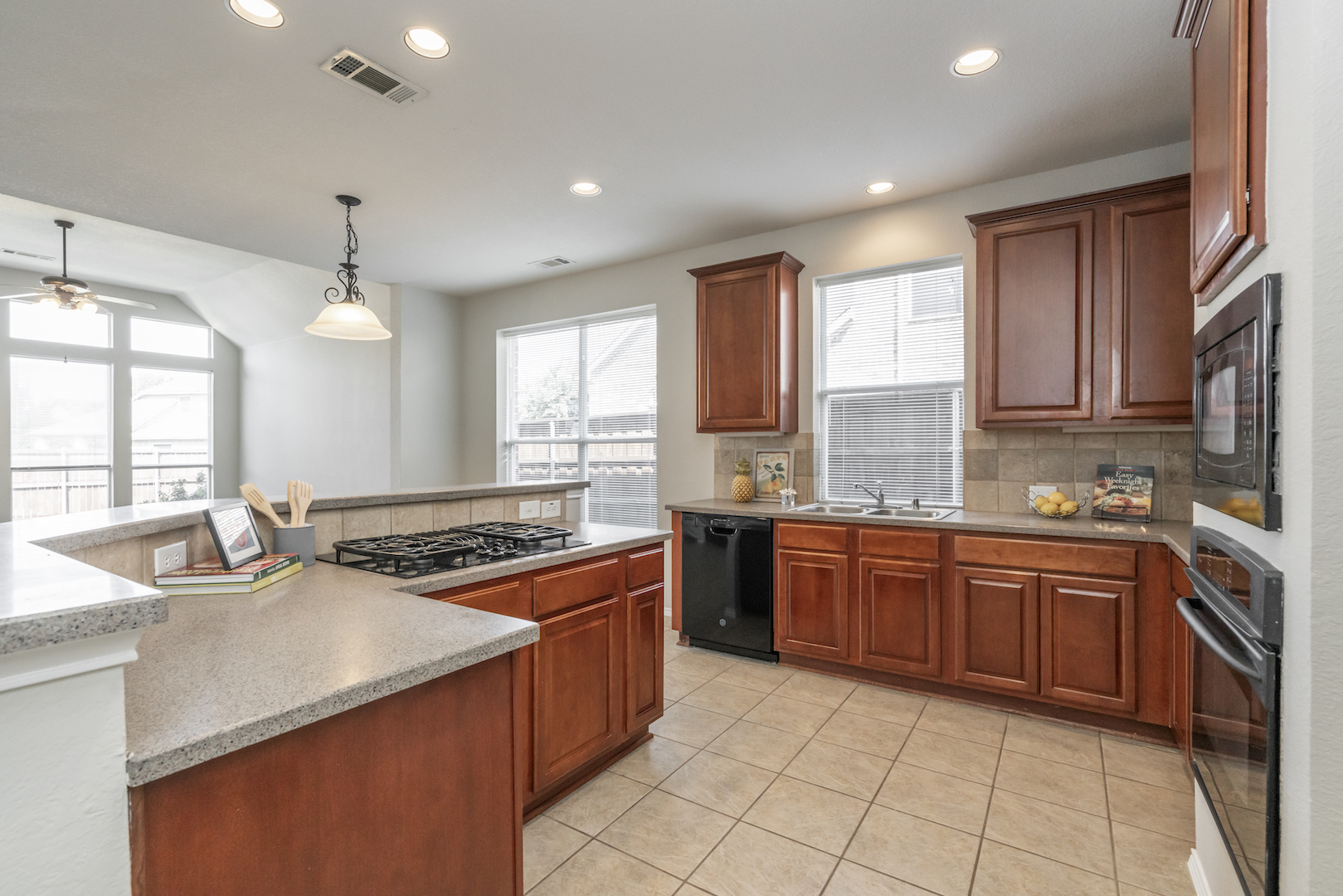 11023 Sonterra Ln, Frisco, TX 75033 header image.