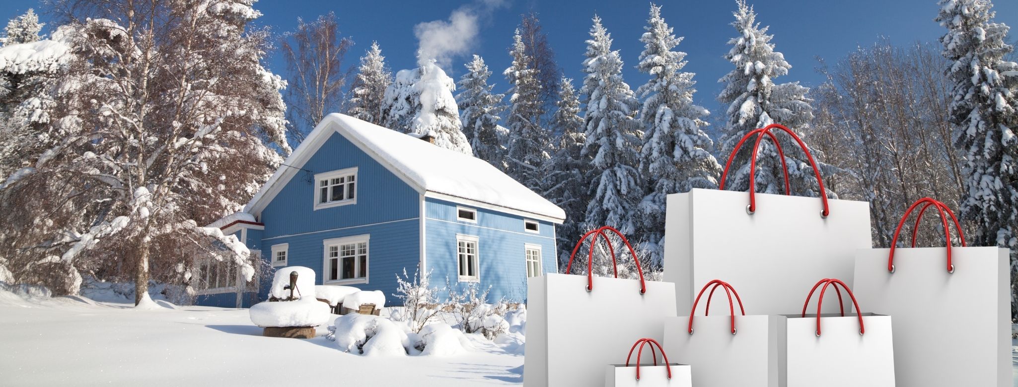 Homebuyers Are Going on a Shopping Spree This Winter header image.