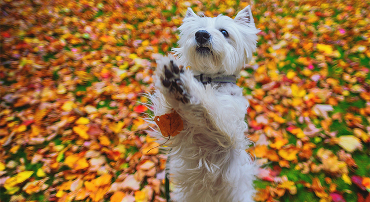 The #1 Reason to Not Wait Until Spring to Sell Your House header image.