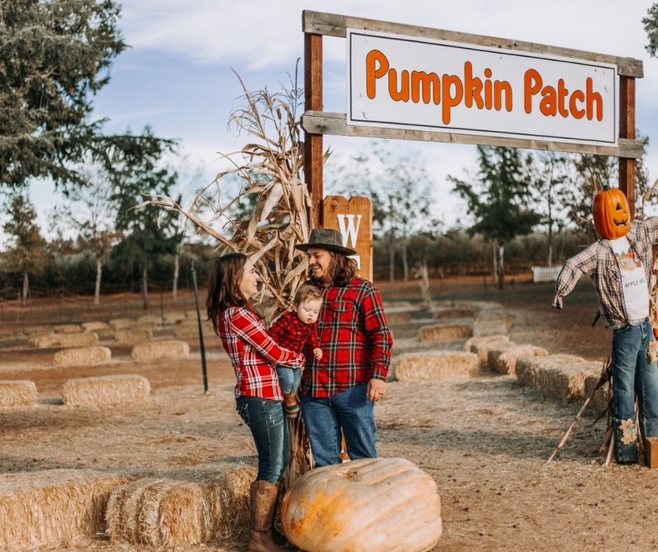 Pumpkin Patches in DFW header image.